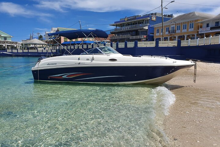 Half-Day Private Stingray City Charter in Cayman Islands - Photo 1 of 12